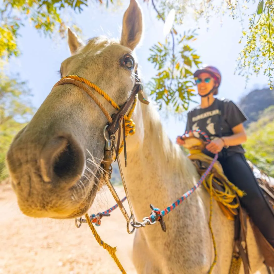 Horseback riding tour at La Dulce Vista, Sierra Madre, Puerto Vallarta