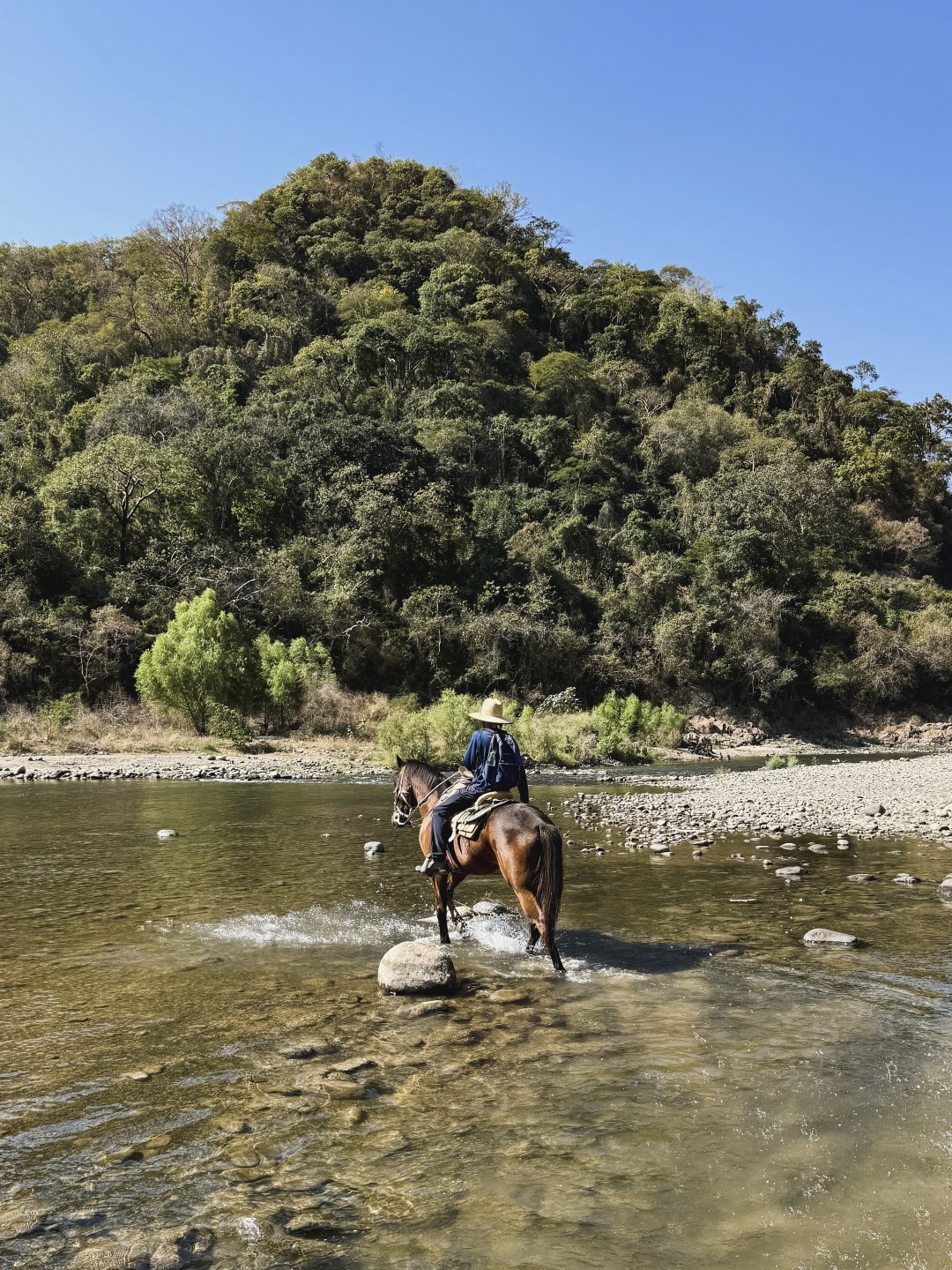 Horseback Riding in Puerto Vallarta River