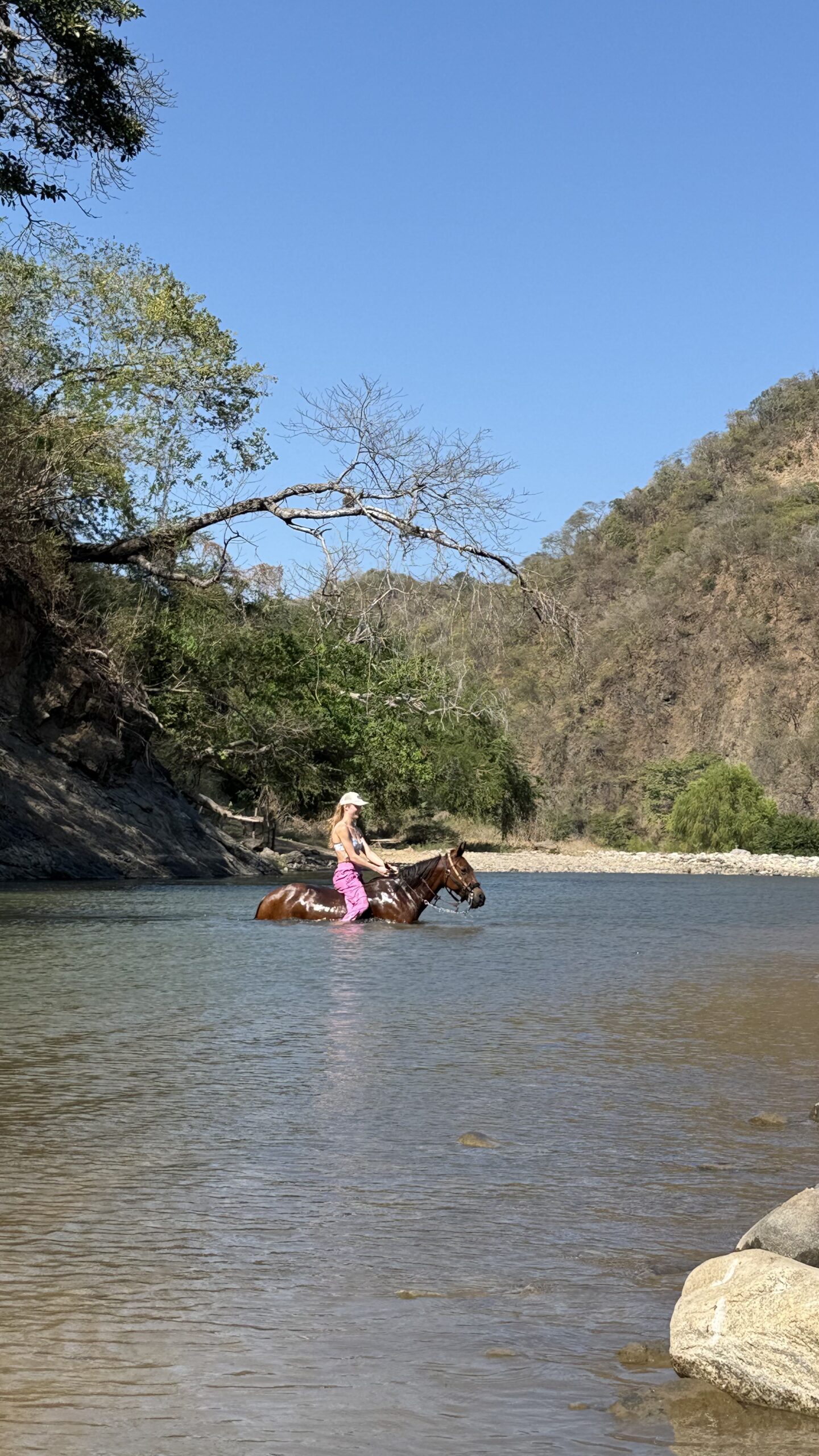 Horseback Riding in Puerto Vallarta horse crusing the river