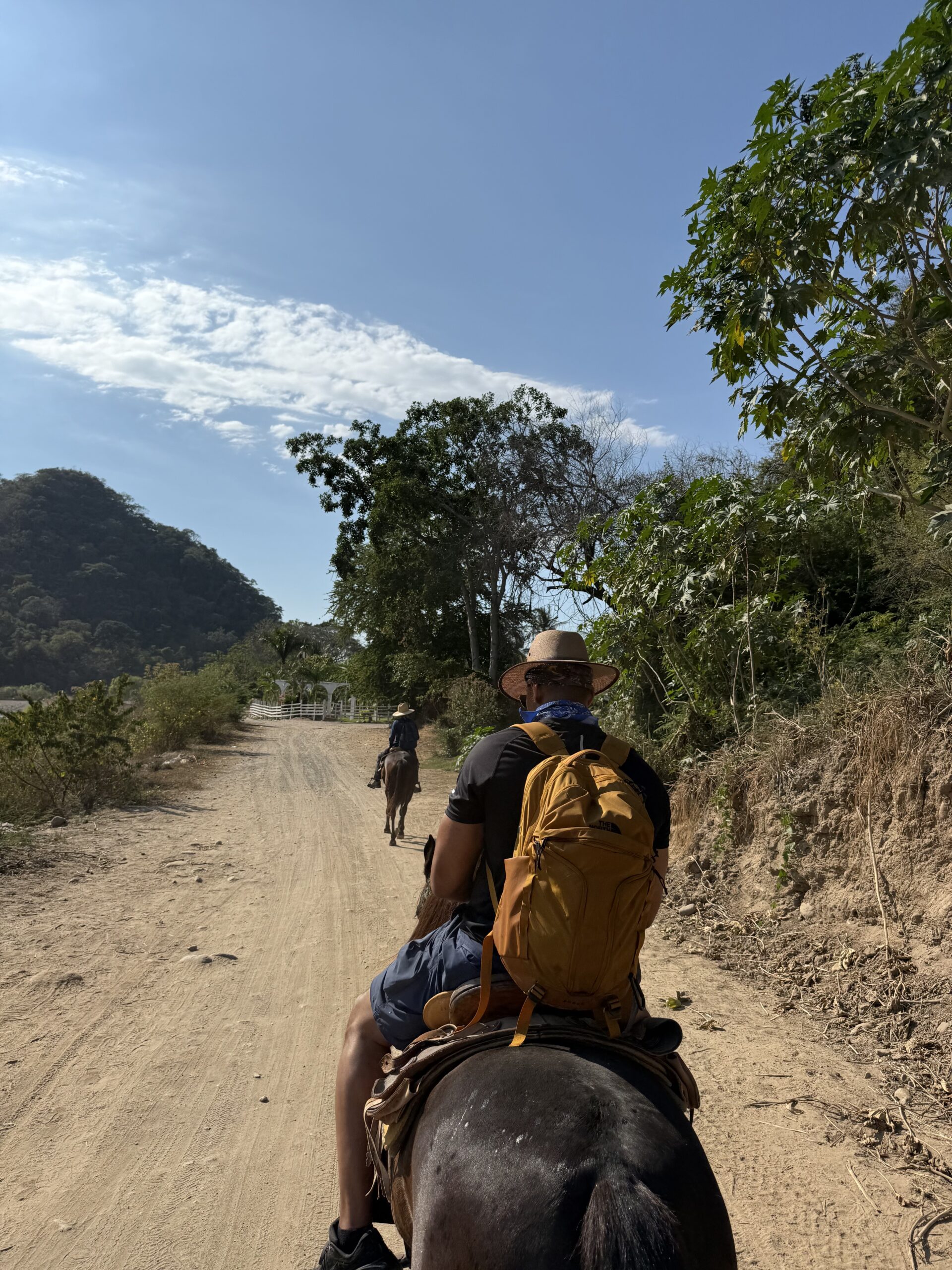 Horses at Hacienda Doña Engracia