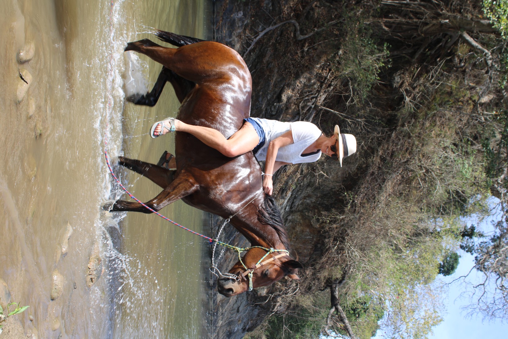 Horseback Riding in Puerto Vallarta tour PV