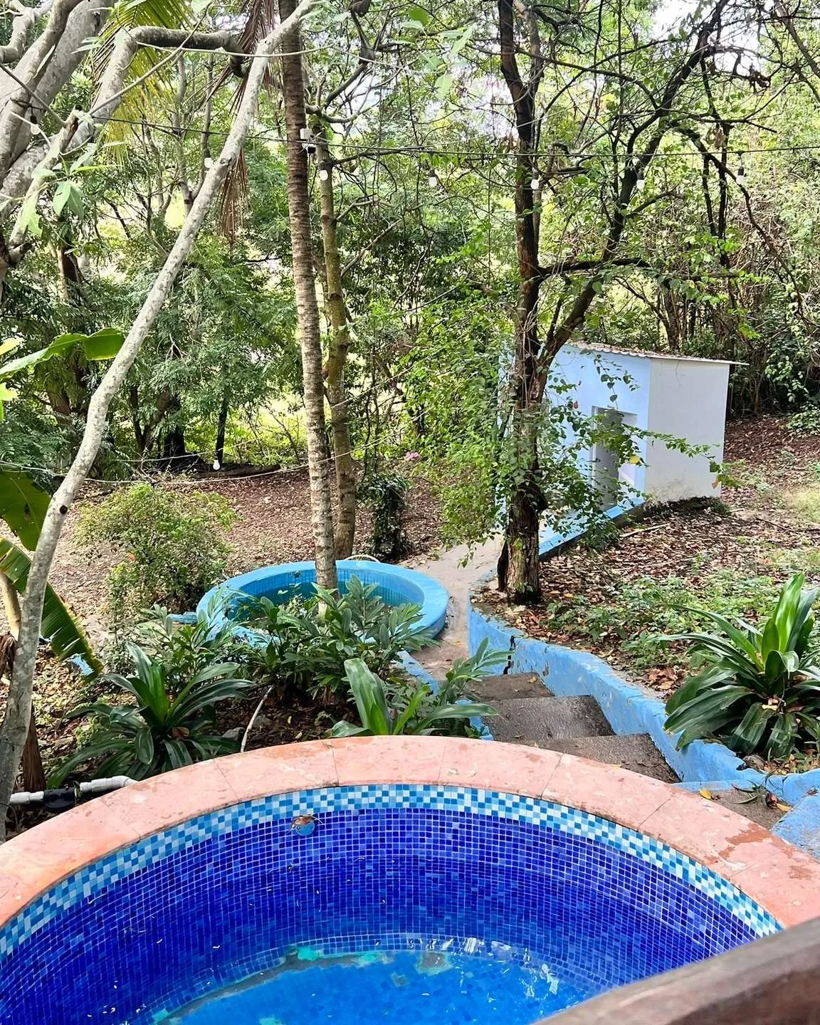 Hot Springs in Puerto Vallarta + Free 15-Min Foot Massage 6 Jungle setting around the hot springs